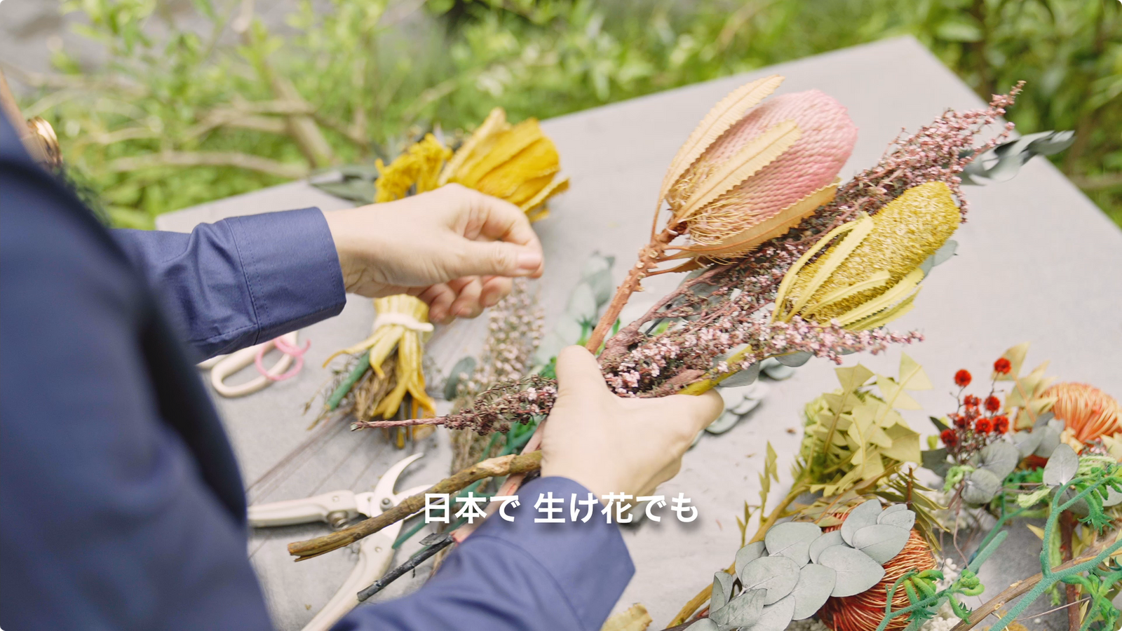 在日オーストラリア大使館 豊かな固有野生植物 映像