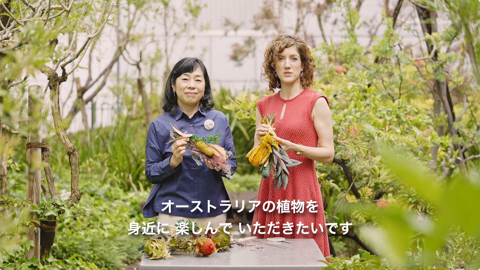 在日オーストラリア大使館 豊かな固有野生植物 映像